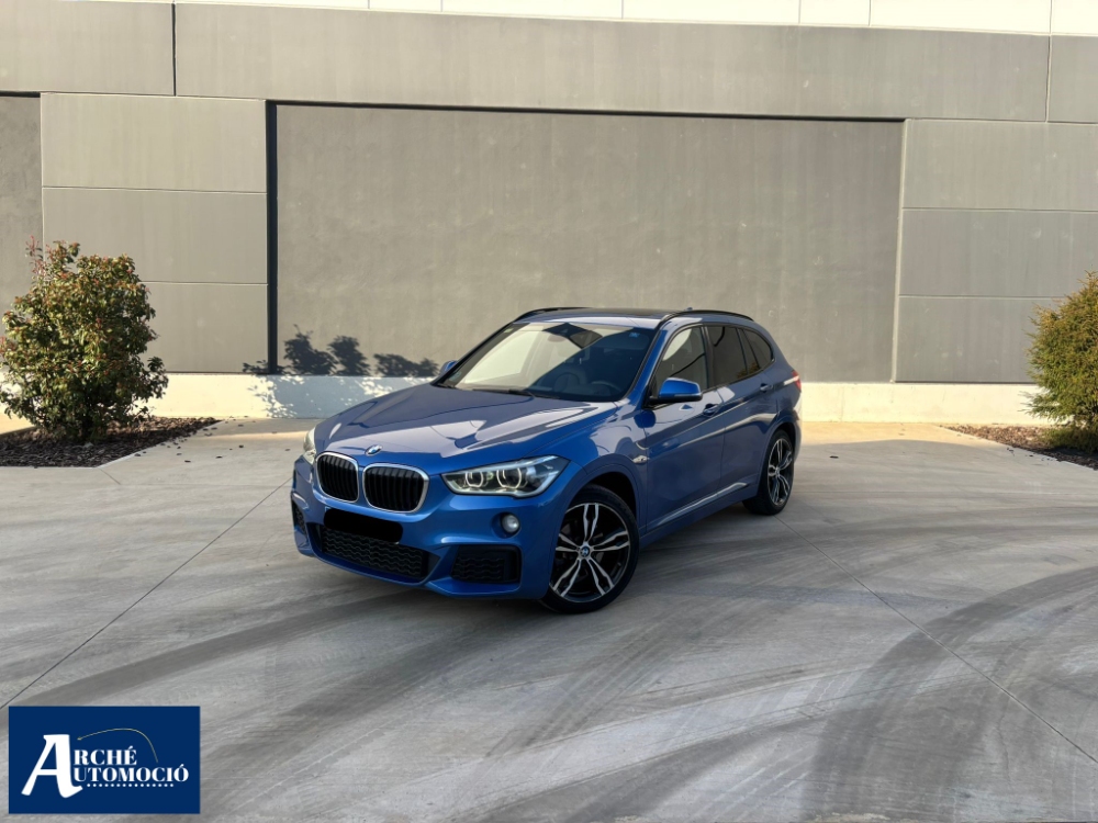 BMW Serie X1 xDrive 18d foto 2